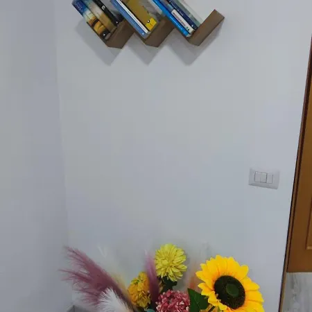 Palmaviola *