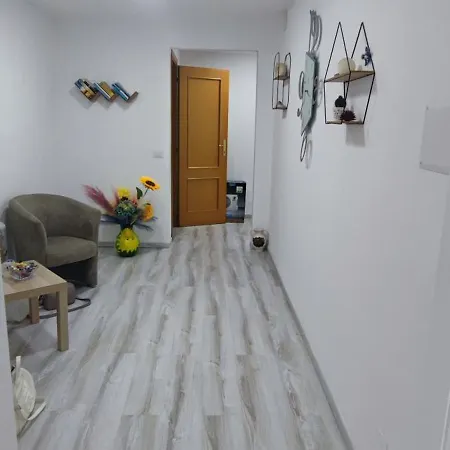 Palmaviola *