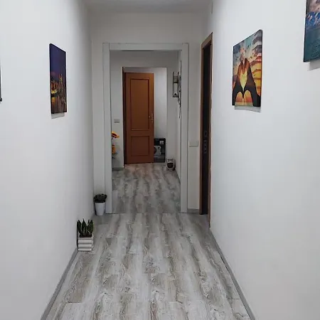 Palmaviola