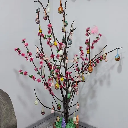 Bed & Breakfast Palmaviola 4*