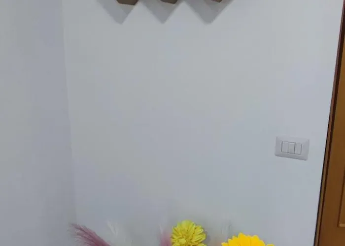 Palmaviola 4*