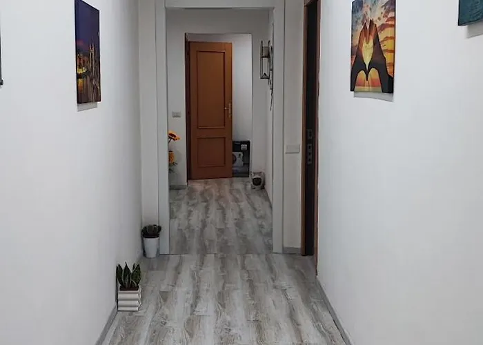 Palmaviola